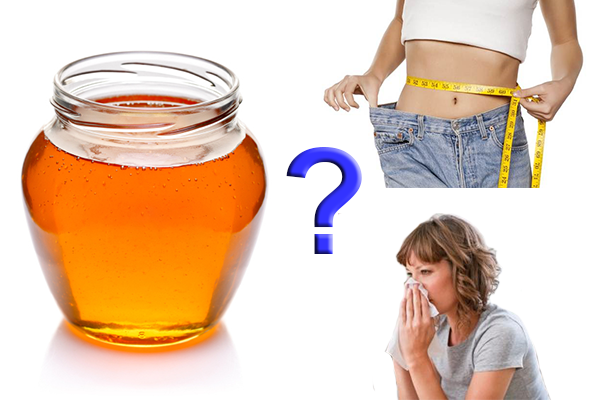Мёд против ожирения и простуды