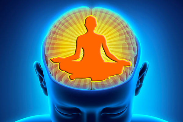 Мозг и медитация