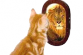 Кошка видит в зеркале льва