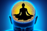 Медитация и мозг