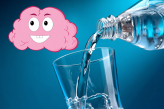 Мозг и вода