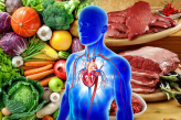 Сердечно-сосудистая система и питание