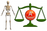 Скелет и баланс витамина A