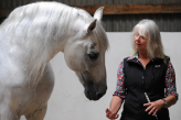 Телепатическое общение с лошадью